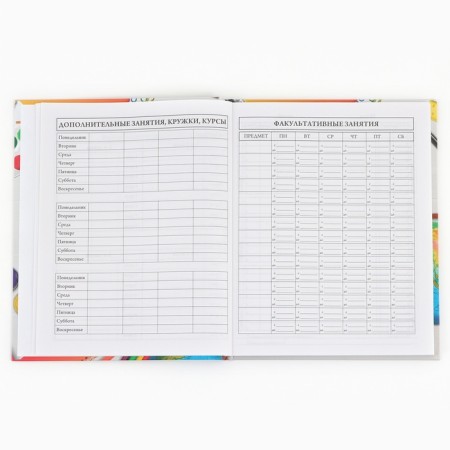 School Diary 1-4 class, in a solid cover, 48 liters "September 1: objects"-4