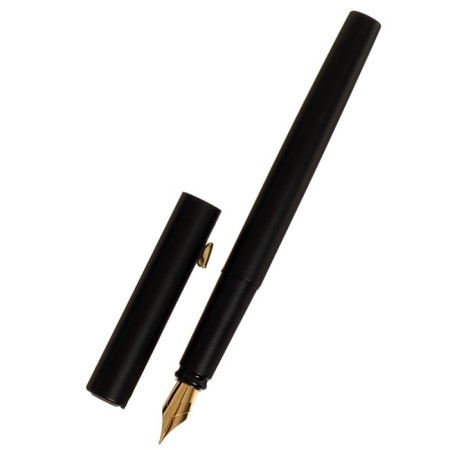 Gift feathers in the leatherette case, black body with gold-2