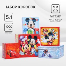 Set of boxes 5 in 1 Disney holiday