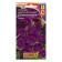 Petunia Supercam West F1 Blue, 10 pcs