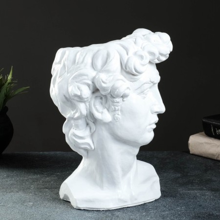 Kashpo - Organizer "David's head" Belaya, 19x27x17cm-3