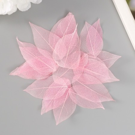 Leaves skeletoned for creativity "light pink" set 20 pcs h = 6-6.5 cm-2