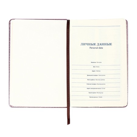 The diary is undathed, PVC cover, A5, 140 liter format, cell, metallic gold-6