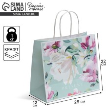 Gift Crafts, Packing, Present, 25 x 22 x 12 cm