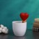 The irrigator "heart", 14 × 4.6cm, color mix, set 4 pcs.