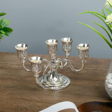 Summary Metal for 5 candles "Grapes of grapes" Color silver 13x21.5x21.5 cm-1