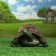 Garden figure "Turtle medium"