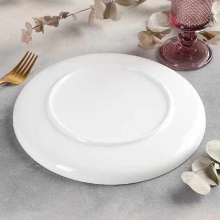 Porcelain plate with the side "Frontier", d = 25 cm, white color-2