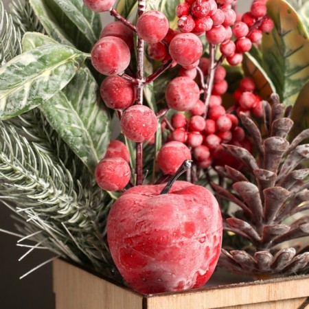 Decor "Winter Berry" 23x9 cm, red-1