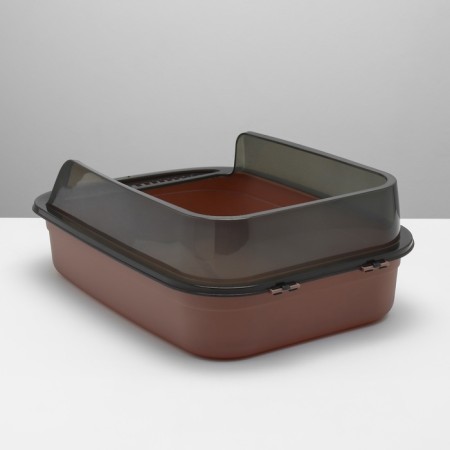 Toilet with transparent sides with a scoop and filter, 50 x 34 x 18 cm, brown-7
