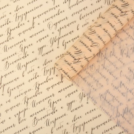 Parchment for "inscriptions" colors, 50 x 70 cm-2