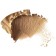 Physicians Formula highlighter with oil murumur, champagne tone, 5 g