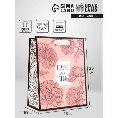 Gift vertical package "only for you", 18 x 23 x10 cm