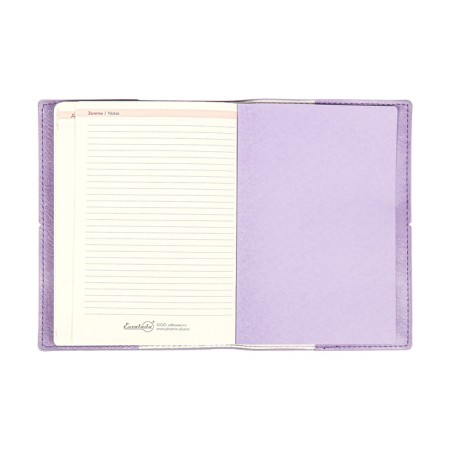 Diary DATIR 2025 A6+ 176l Escalada, Soft Okvl, Single Leather, TIS F, KR BL 70g/M2, Sire-I-21