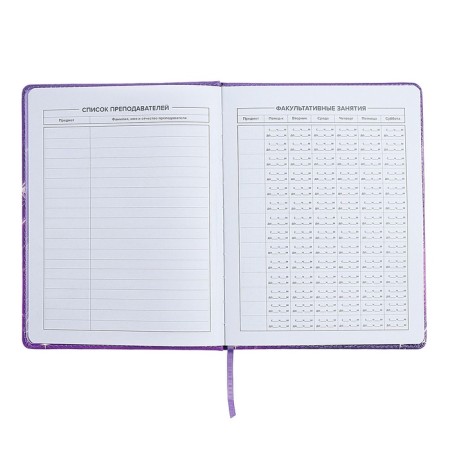 Universal Diary Grade 1-11, 48 sheets "Fairy", hard cover of artificial leather, lies, universal cheat sheet, block 80 g/m2-4