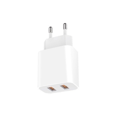 Network charger Gopower GP2U, 2 USB, 2.4 A, white