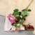 White-lilac