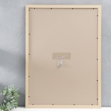 Photo frame plastic 50x70 cm, K203-02-50-70 (plastic screen)-2