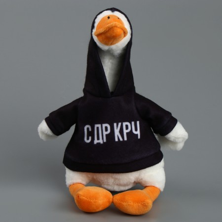 Soft toy "Goose: with DR CRC", 35 cm-4