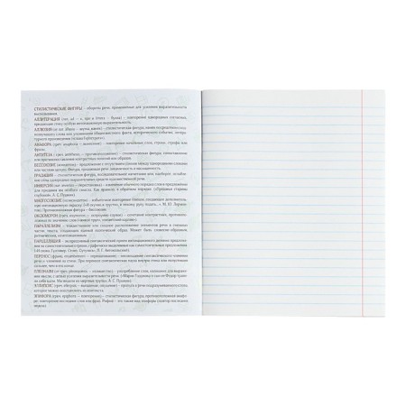 Subject notebook Calligrata Top "School style", 48 sheets in the literature line, with reference material, plastic cover, offset unit-2