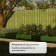 Glocked bed, 195 × 100 × 15 cm, dark green, Greengo