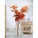 Flower composition "Eucalypt" in a bottle vase, orange / transparent color