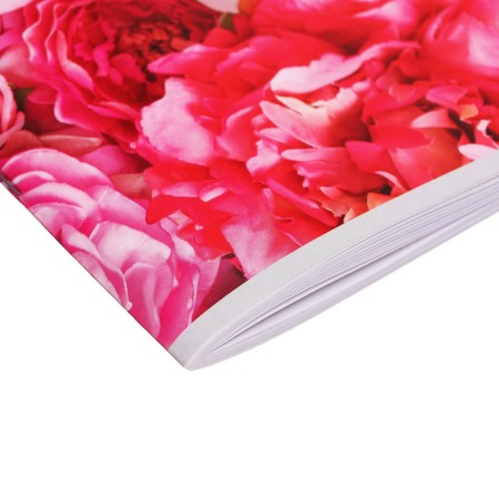 Album for drawing A4, 40 sheets on the "Rose" paper clip, covered cardboard, block 100 g/m²-2