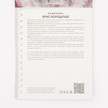 Iris Borogue Black Knight, Rr. I, 1 pc, Spring 2025-2