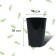 Pot for seedlings, 2 l, d = 14 cm, h = 18 cm, black, greengo