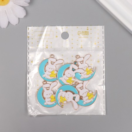 Decor for creativity metal, enamel "Bunny in the blue month" 2.9x2.5 cm-3