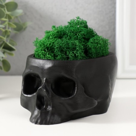 Kashpo concrete "Skull" with moss black 13x9x6.5 cm (moss green stabilized)-3