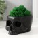 Kashpo concrete "Skull" with moss black 13x9x6.5 cm (moss green stabilized)