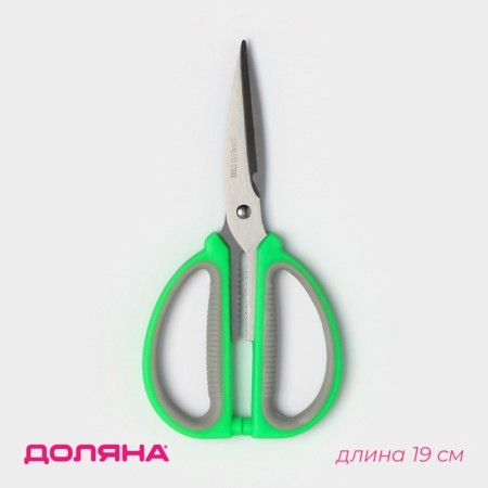 Scissors kitchen shares "Assistant", 15 cm, green color