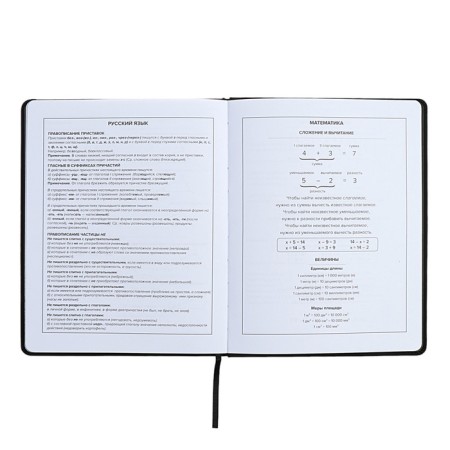 Universal Diary Grade 1-11, 48 Introvert sheets, firm artificial leather cover, foil embossing, liesse, universal cheat sheet, block 80 g/m2-10