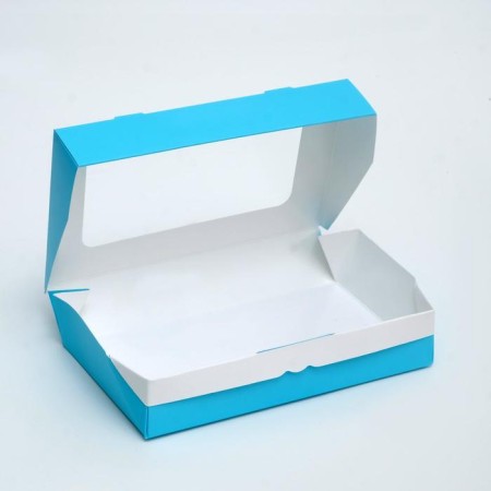 Container for removal, blue, 20 x 12 x 4 cm-1
