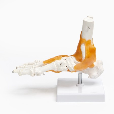 Matcage "Guplno -Star Joint" 21*20cm-7