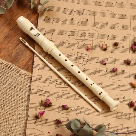 Music Life Blockflate, 8 holes, German system, soprano-8