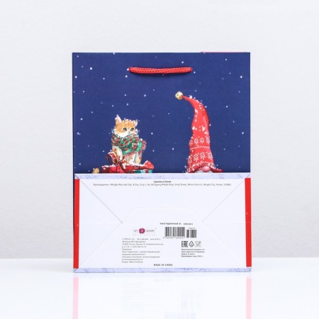 Gift package "with gifts", 18 x 22.3 x 10 cm-1