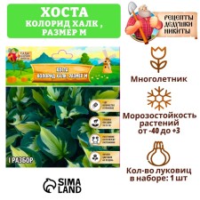 Хоста "Colored Hulk", р-р I, размер M,1 шт,