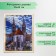 Photo frame 30x40 (3N26) b/color (plastic screen)