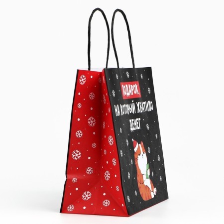 Package Gift "Gift", 22 x 22 x 11 cm, new year-3