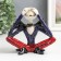 Suvenir Polystone "Skeleton - I do not see, I do not hear, I will not say" mix 12x12x6 cm