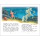 Russian folk tales