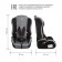 Car Carec resilient Zlatek ZL513 BASIC, group 1/2/3 (9-36 kg), color gray color