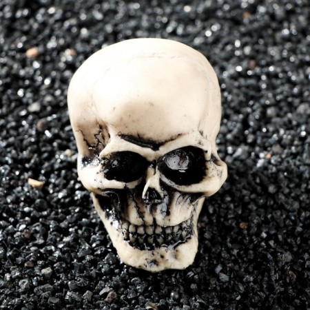 Decor for the Aquarium "Skull", 9 x 6 x 6 cm-3