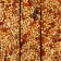 SEVEN SEEDS sticks for rodents, honey, 3 pcs, 90 g