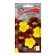 Seeds of flowers nasturtium stunted "day and night", 1g.