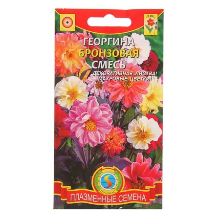 Georgin seeds "Bronze", mixture, 12 pcs