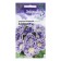 Gloxinia flowers "glee", 5 pcs.