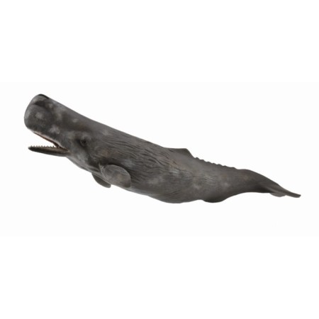 Figure "Spermple", XL
